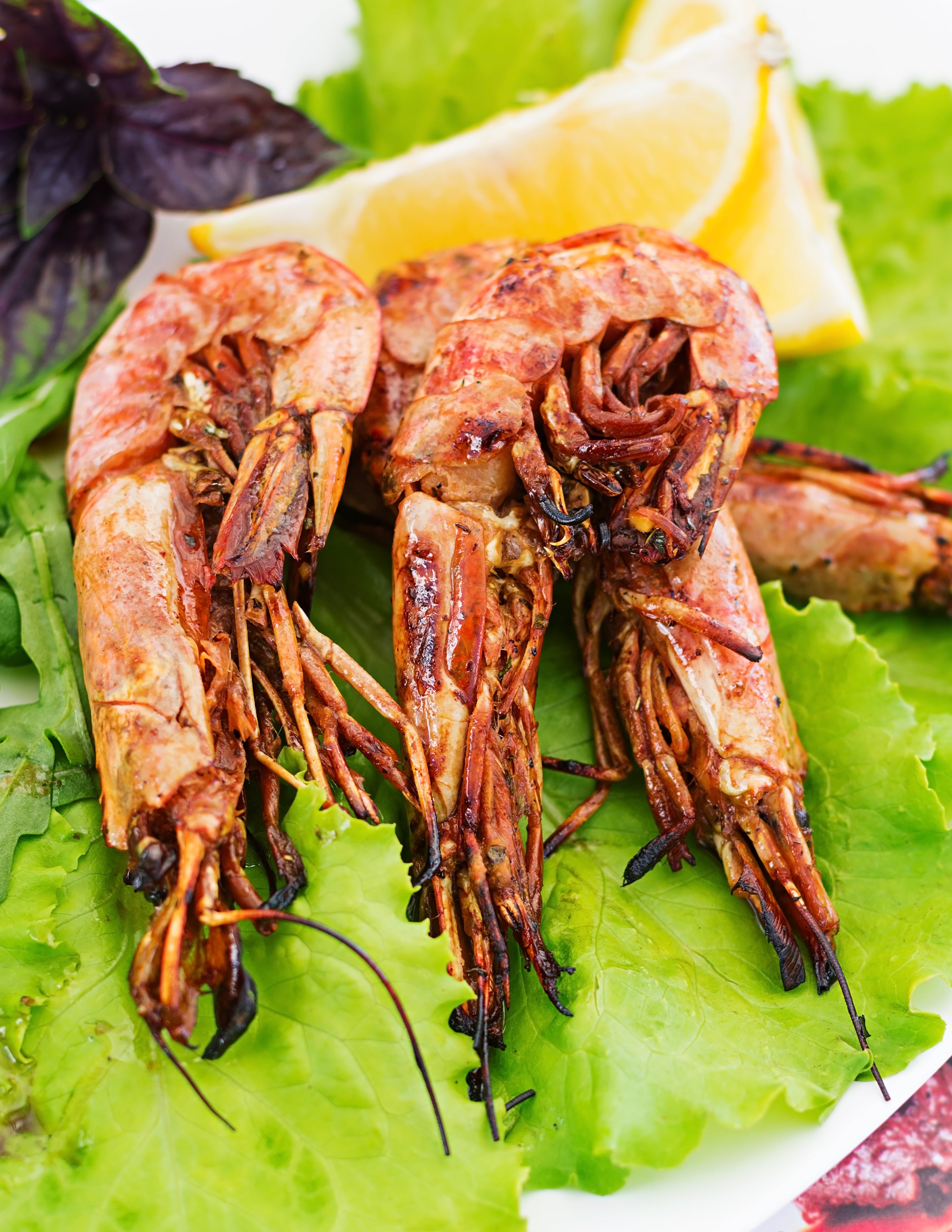 Tandoori King Prawn